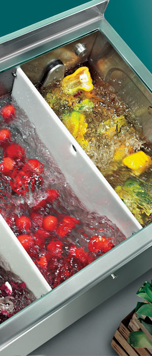 Firex Commercial Vegetable Washers | Three versatile models with capacities of 150 / 225 / 300 litres