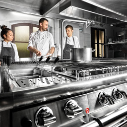 Baron QUEEN Series: Where Stunning Design Meets Culinary Excellence