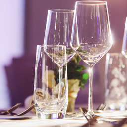 The Benefits of Using RO Water with Glass and Dishwashers
