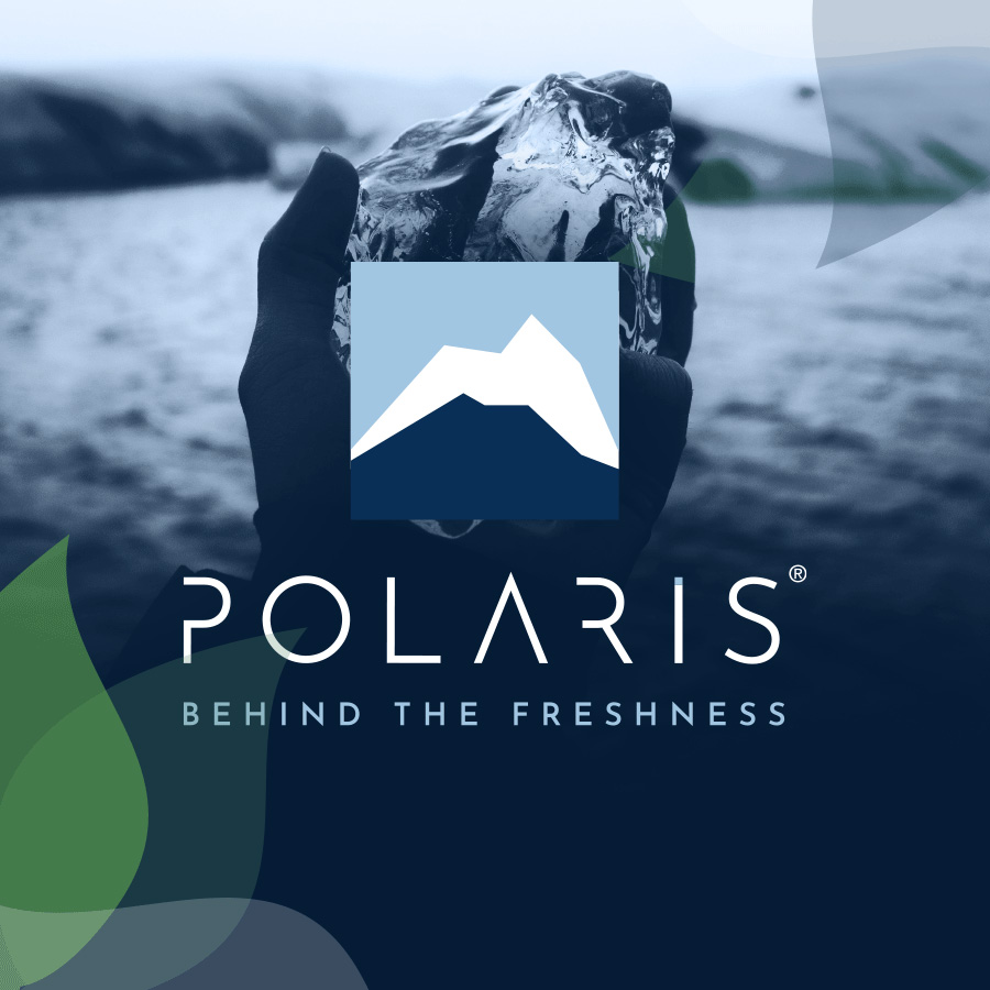 Why Choose Polaris Professional Blast Chillers/Freezers