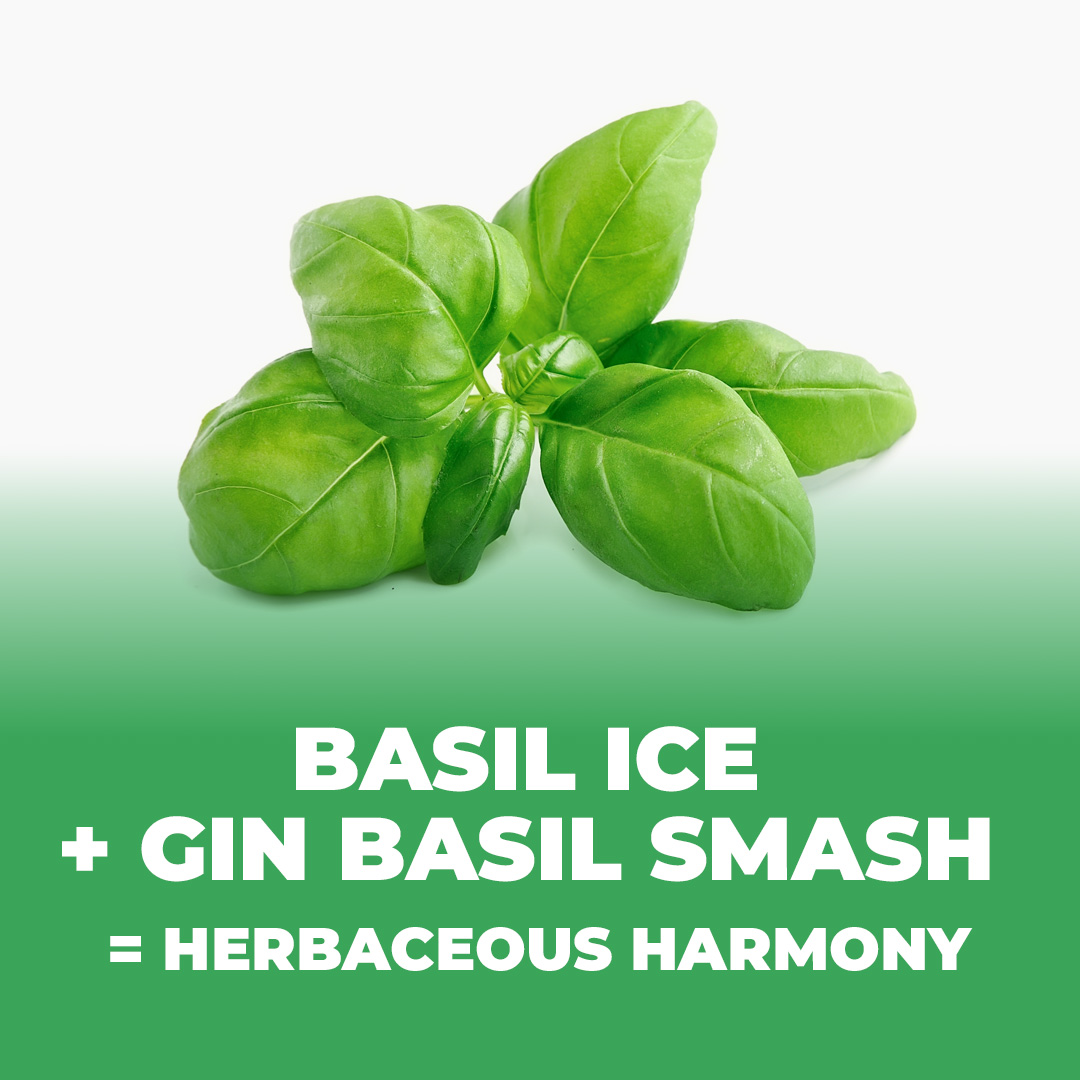 Basil Ice + Gin Basil Smash = Herbaceous Harmony