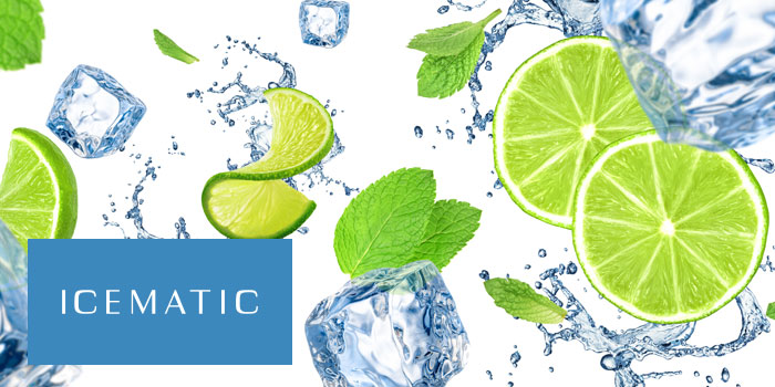 Icematic How To Maintain Your Ice Machine, Important Cleaning